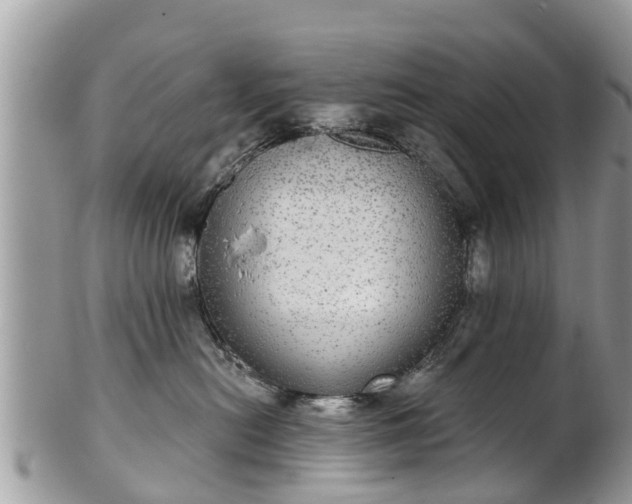 X0000102040478200807251418