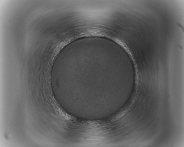 X0000102040481200807251418