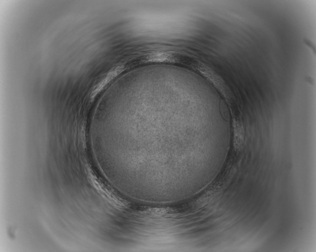 X0000102040482200807251418