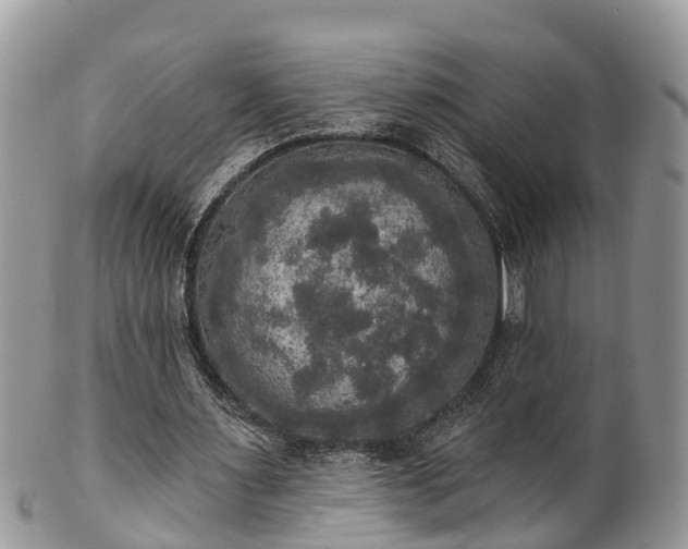 X0000102040483200807251418