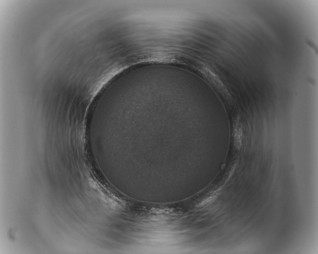 X0000102040484200807251418