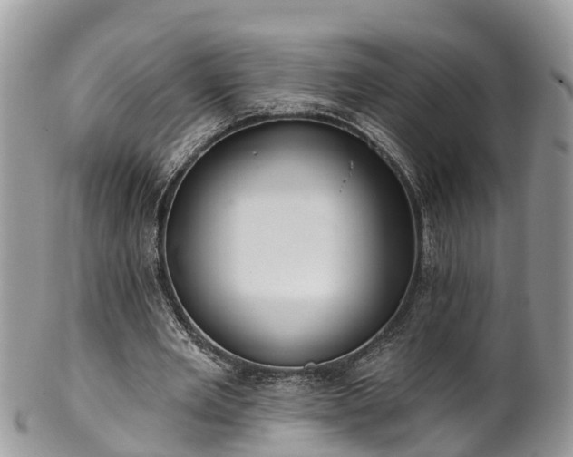 X0000102040485200807251418