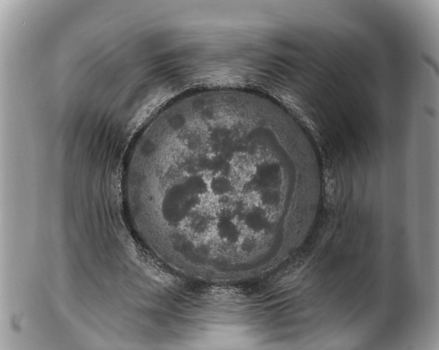 X0000102040487200807251418