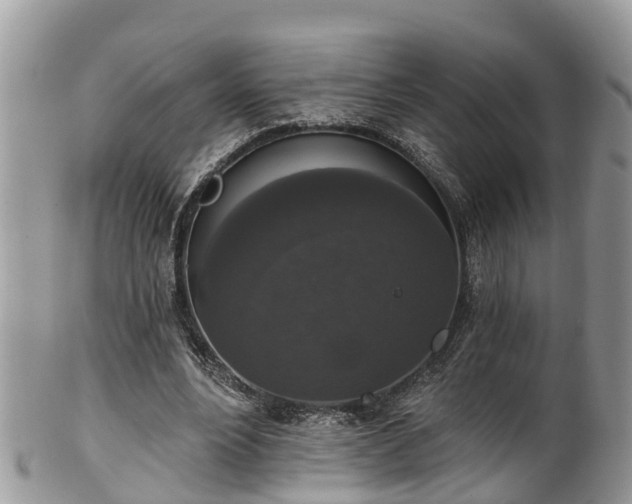 X0000102040488200807251418