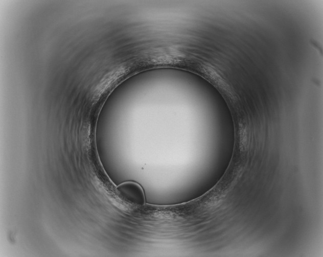 X0000102040490200807251417