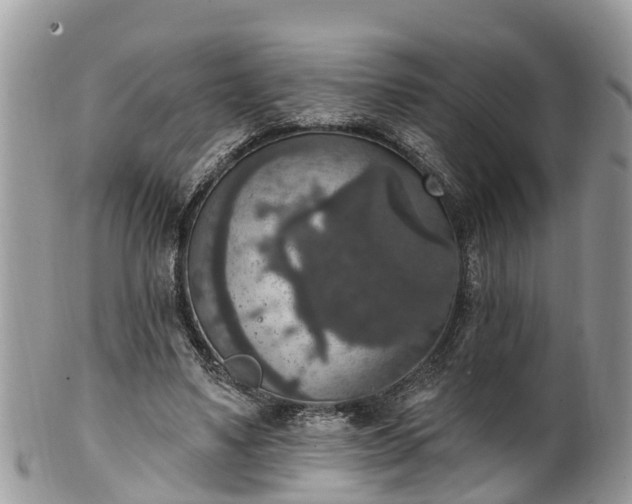 X0000102040491200807251417