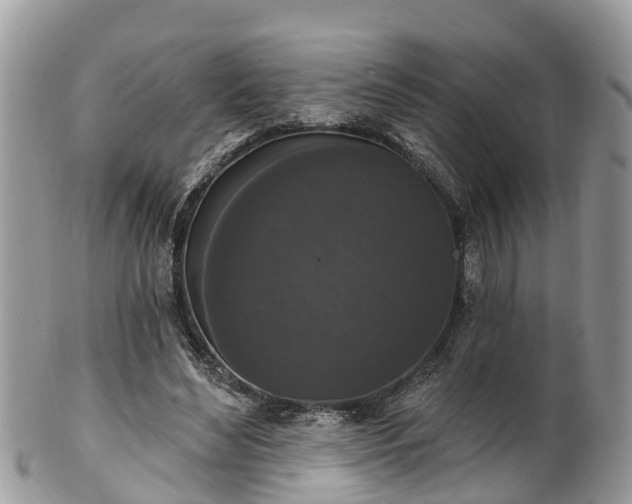 X0000102040492200807251417