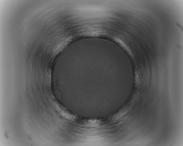 X0000102040493200807251417