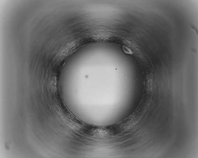 X0000102040498200807251417