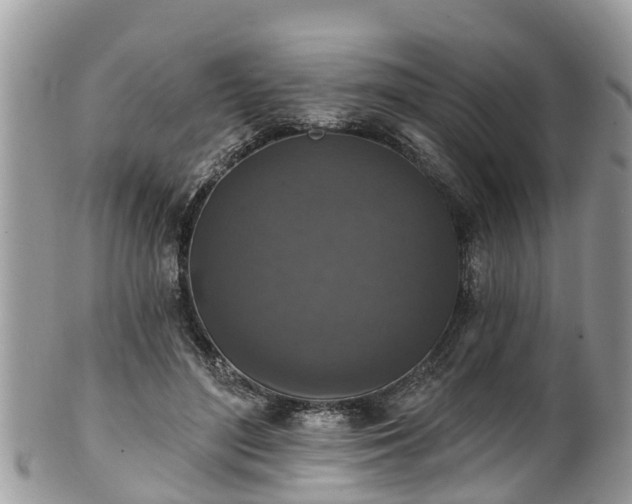 X0000102040500200807251417