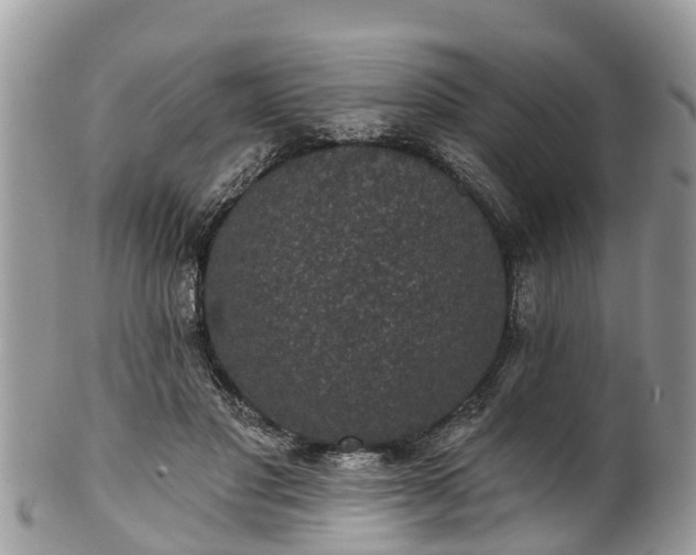 X0000102040501200807251417