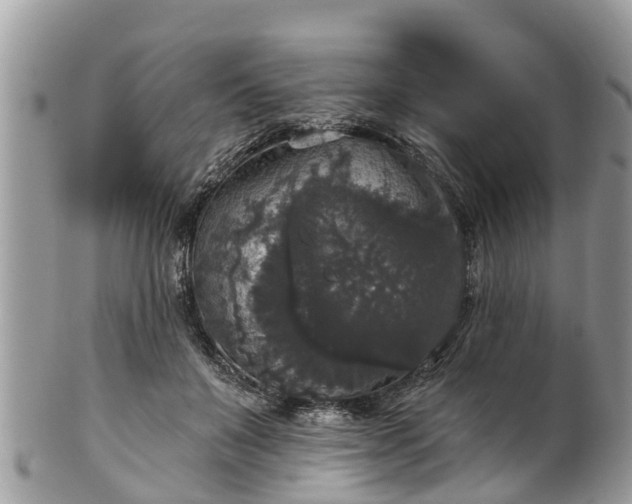 X0000102040503200807251417