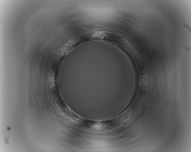 X0000102040504200807251417