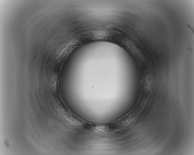 X0000102040505200807251417