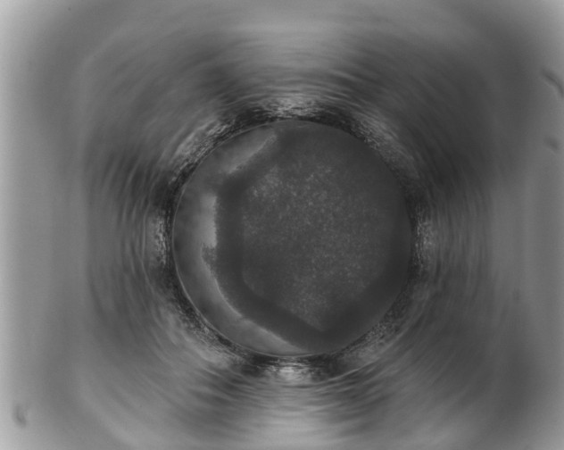 X0000102040506200807251417