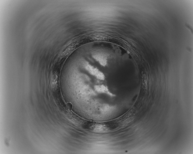 X0000102040507200807251417