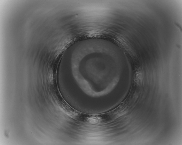 X0000102040508200807251417