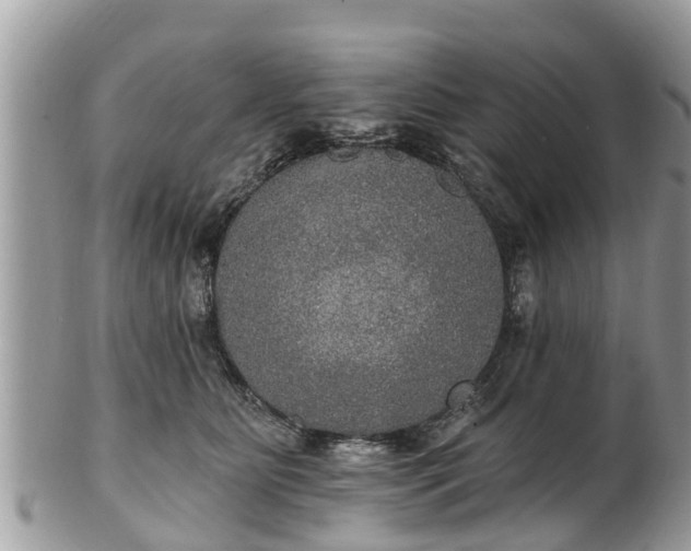 X0000102040515200807251417