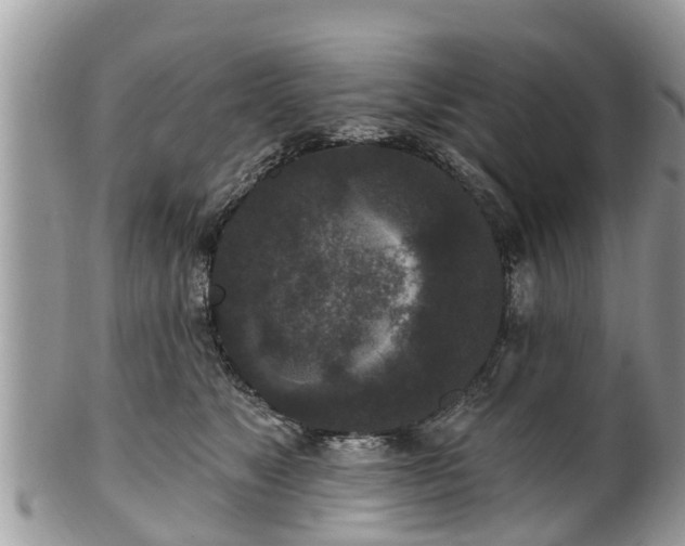 X0000102040517200807251417