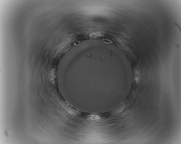 X0000102040519200807251417