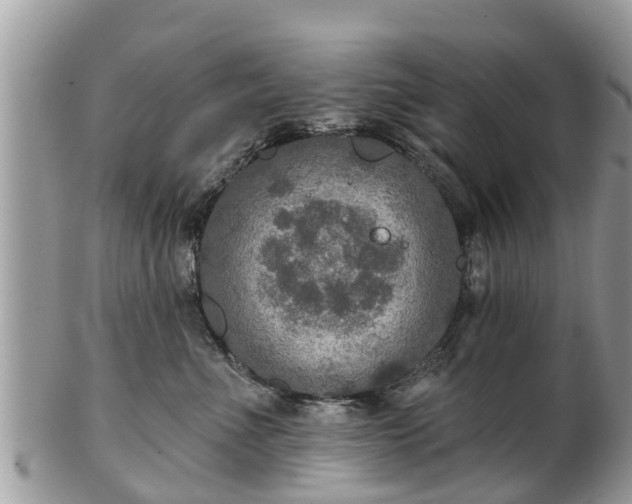 X0000102040523200807251417