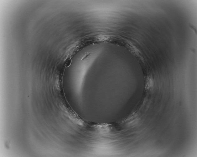 X0000102040524200807251417