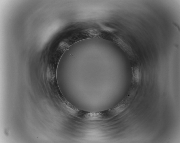 X0000102040526200807251417