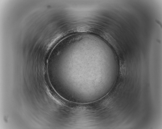 X0000102040530200807251416