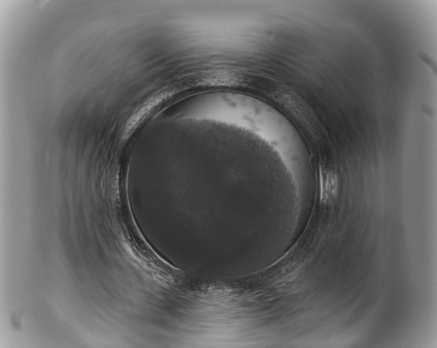 X0000102040531200807251416