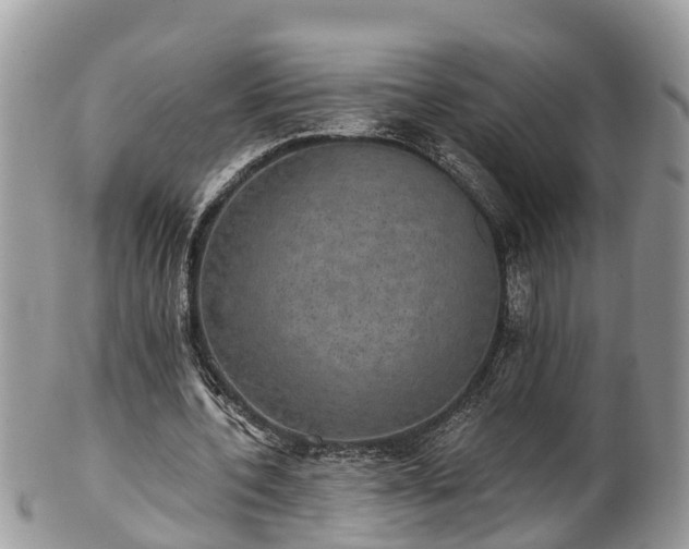 X0000102040532200807251416