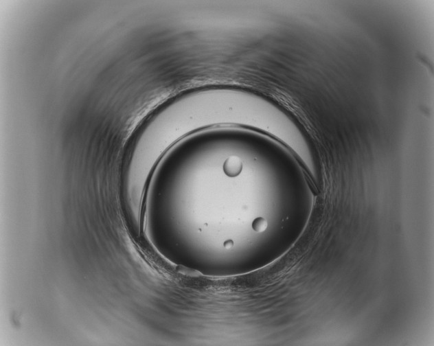 X0000102040534200807251416