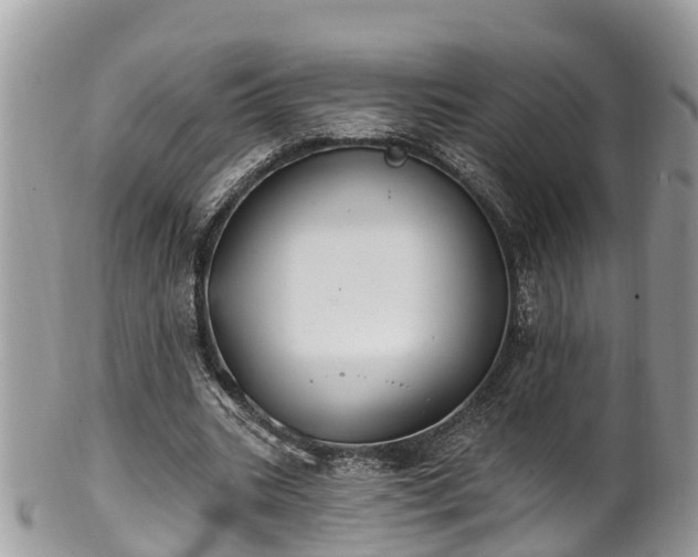 X0000102040535200807251416