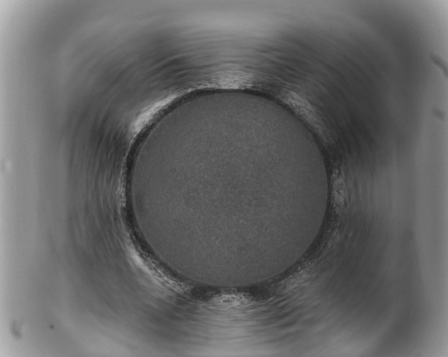 X0000102040536200807251416