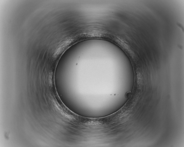 X0000102040537200807251416