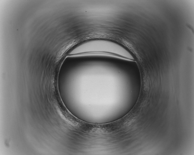 X0000102040538200807251416