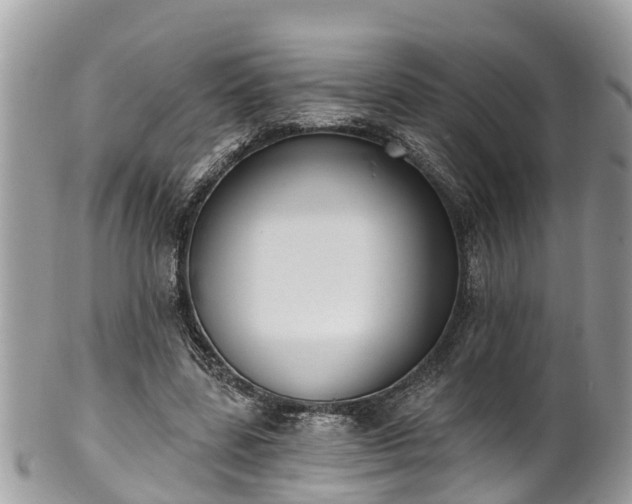 X0000102040539200807251416