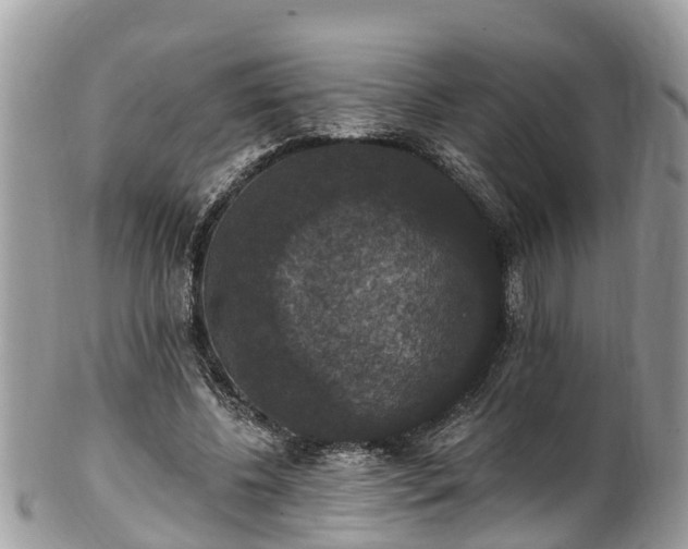 X0000102040540200807251416