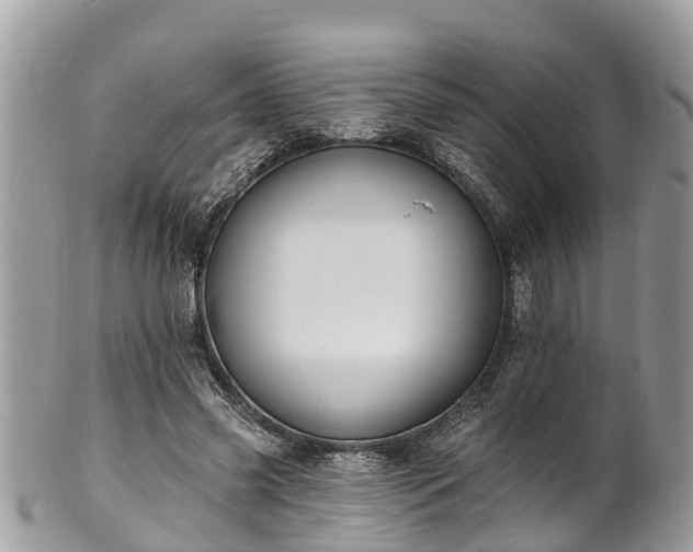 X0000102040541200807251416