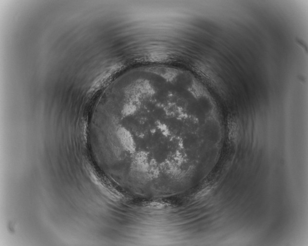 X0000102040542200807251416