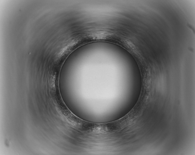 X0000102040543200807251416