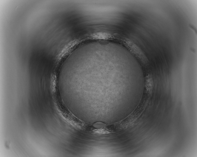 X0000102040544200807251416