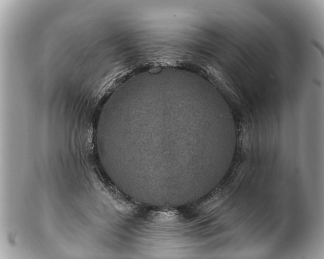 X0000102040548200807251417