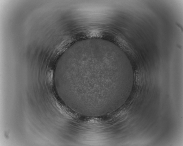 X0000102040550200807251417