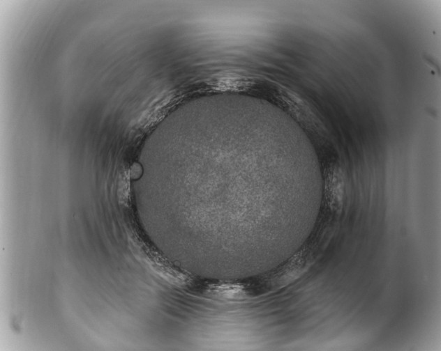 X0000102040554200807251417