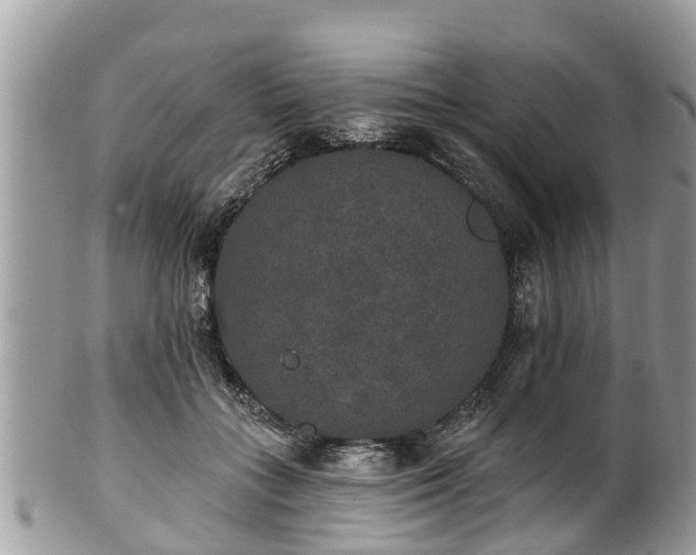 X0000102040555200807251417