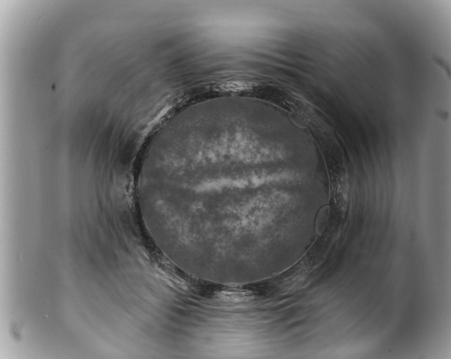 X0000102040556200807251417