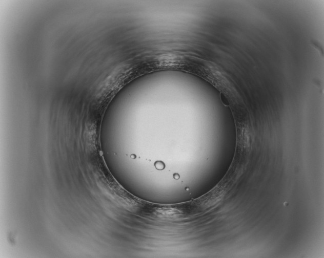 X0000102040557200807251417