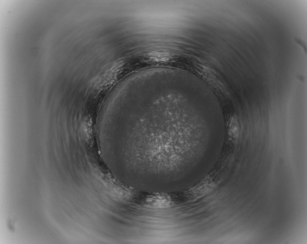 X0000102040559200807251417