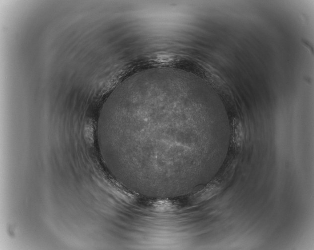 X0000102040562200807251417