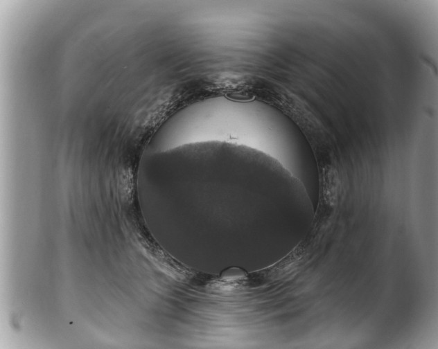 X0000102040563200807251417